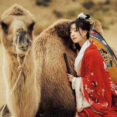 平田薰（饰 关原妙） - 辣舞影视网址在线观看21 - 云端追剧
